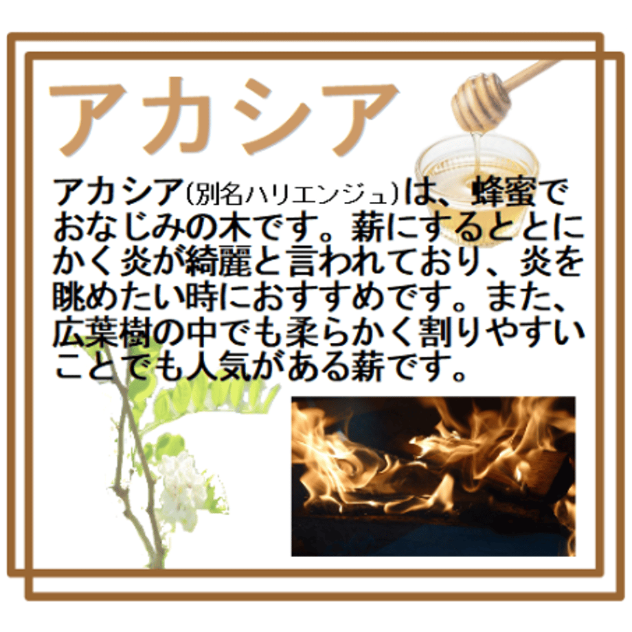 64fff3472358c6003041c657