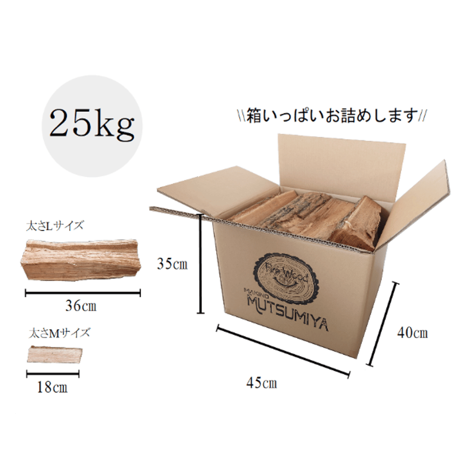 64f1a9ec8ab3cb0031cf90b5