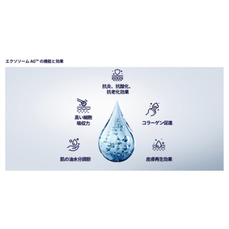 ≪RETURN10≫　EXOSOME　AG（エクソソーム導入美容液）2本セット×4個