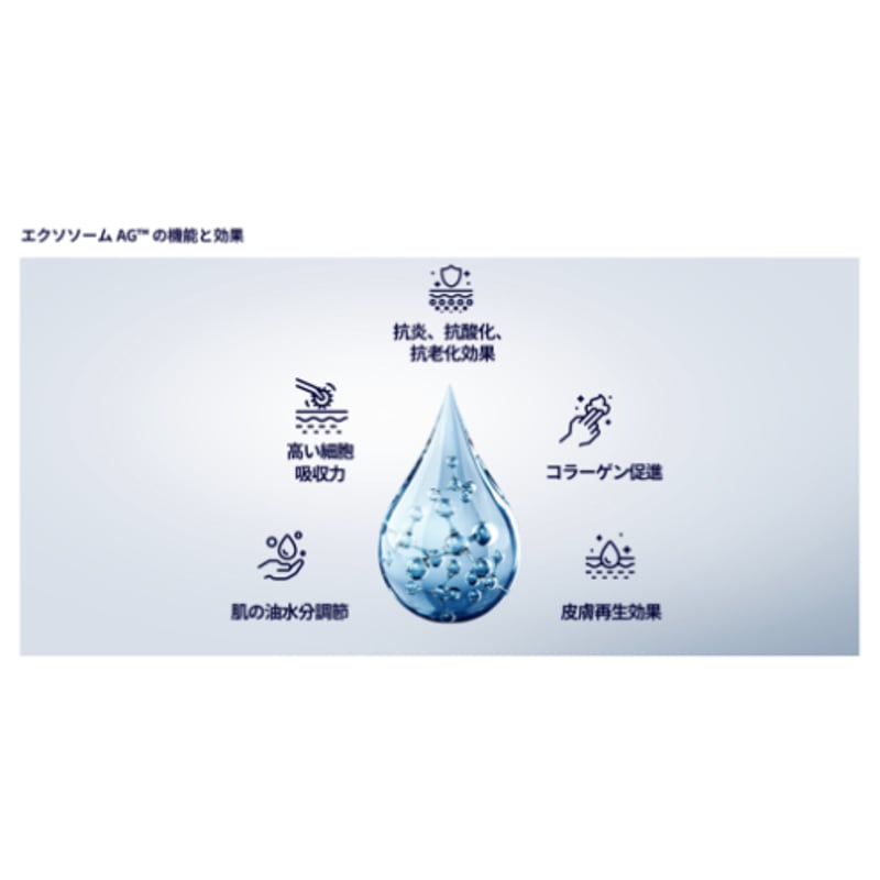 ≪RETURN10≫ EXOSOME AG（エクソソーム導入美容液）2本セット×4個