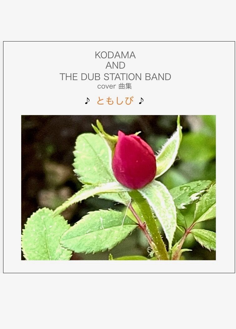 KODAMA AND THE DUB STATION BAND cover曲集 ♪ともしび
