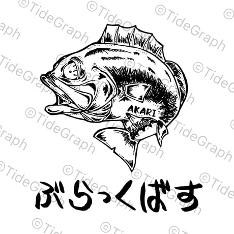 Akariコラボ　ヘビーウェイトロンT / ホワイト
