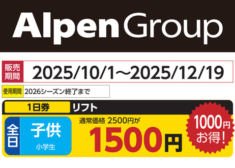 スキーリフト券 2枚セット AlpenGroup アルペングループ 早割リフト券Plus!!