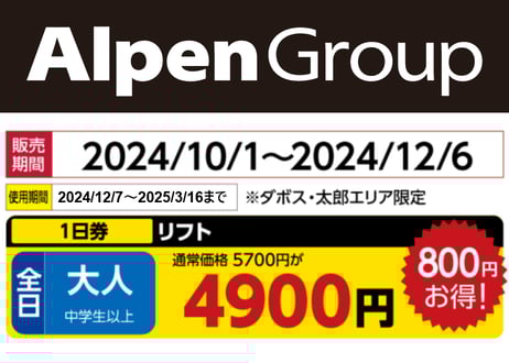 スキーリフト券 2枚セット AlpenGroup アルペングループ 早割リフト券Plus!!