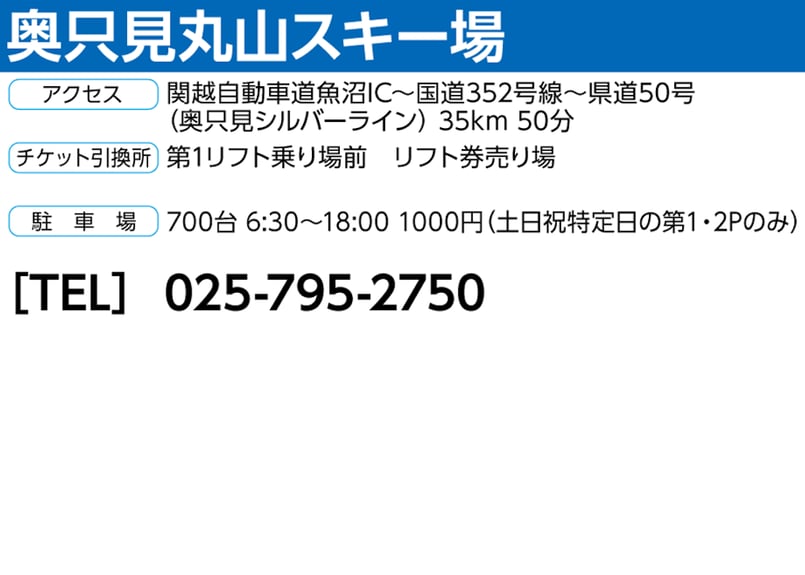 奥只見丸山スキー場 リフト券 ２枚セットランチソフトドリンク付き No.660【奥只見丸山スキー場】全日 大人 リフト1日券+ソフトドリンク