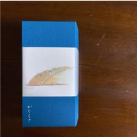GIFT BOX　HANADA（はなだ）　植物茶５種類入