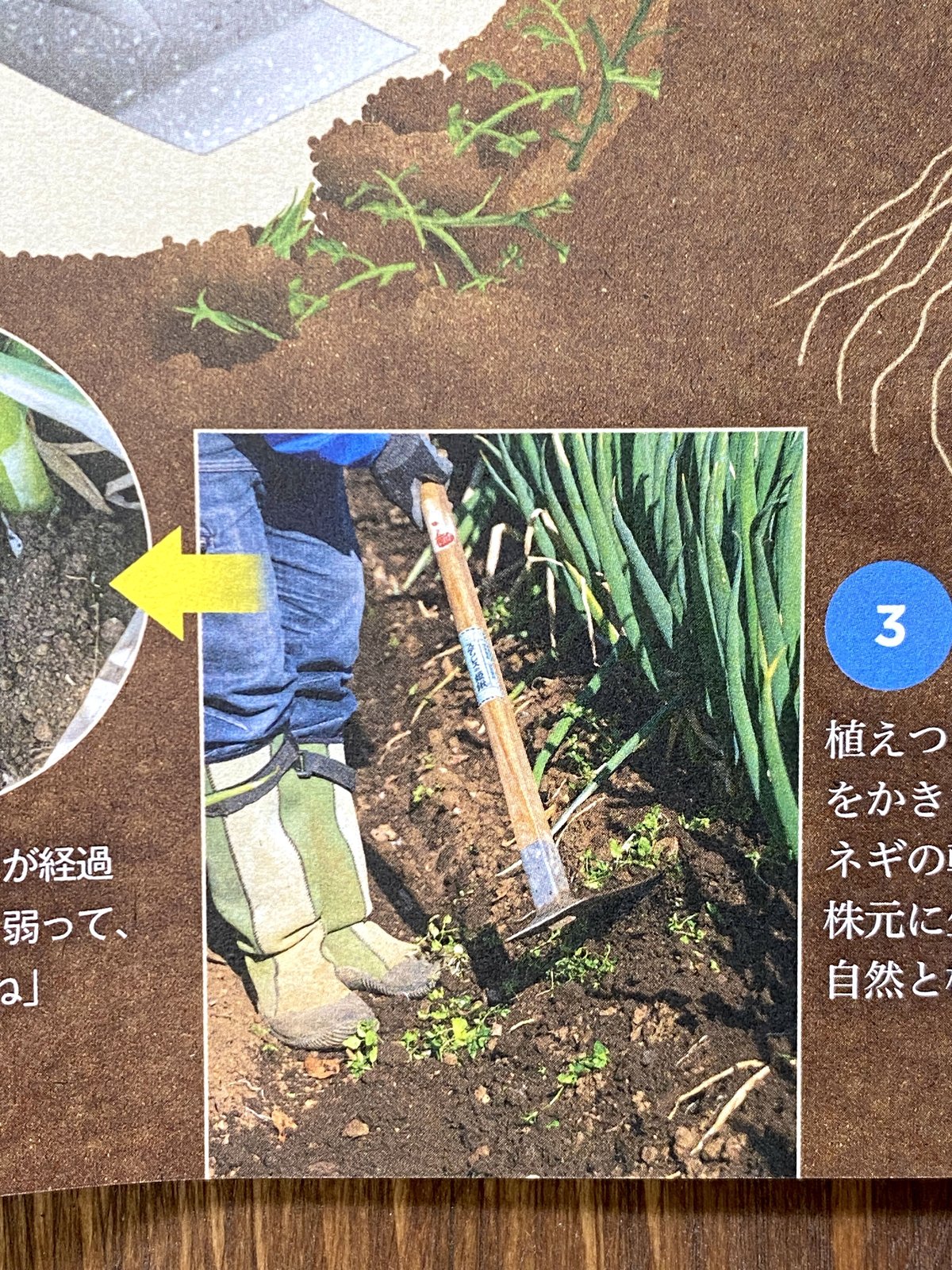 姫鍬の平鍬ー王道の小回りタイプ HSI | 姫鍬本舗 STORE