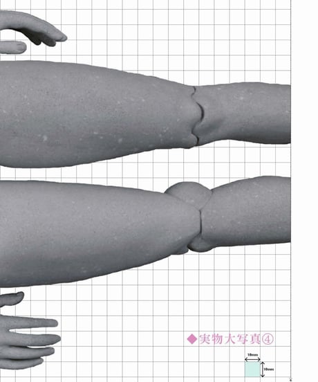 《希少本限定販売》球体関節人形制作 基礎編