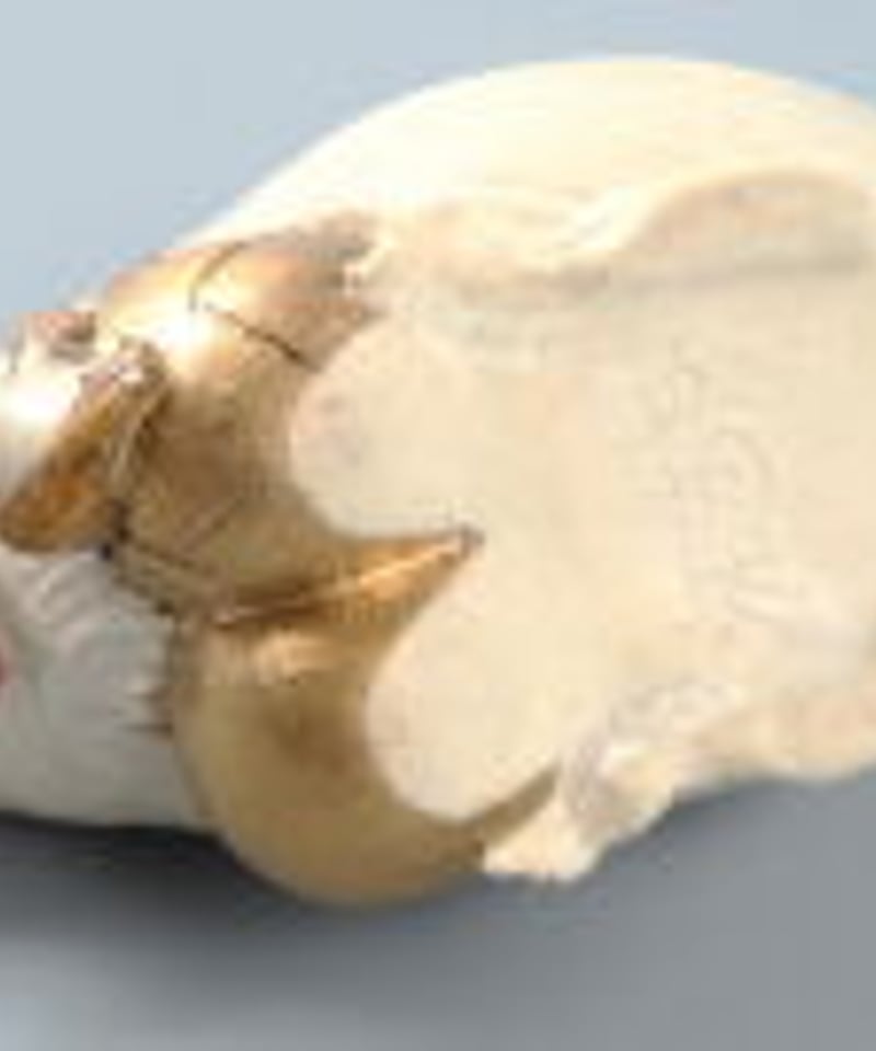 陶彫カエル「にわとり（水滴）」／堀口五明笑 | 人気クラフト作家作品