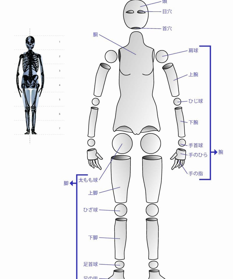 希少本限定販売》球体関節人形制作 基礎編 | 人気クラフト作家作品通販