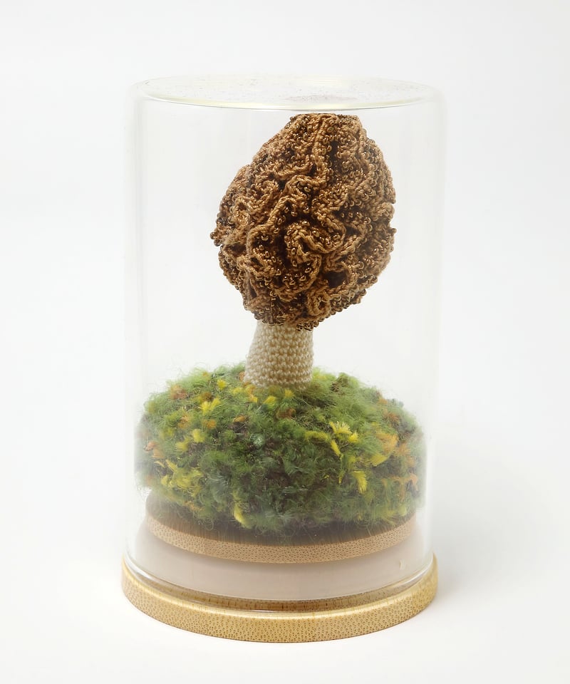 リアルなキノコ《食用》〜アミガサタケ／芝裕子（Eluka） | 人気