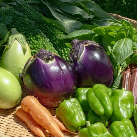 [チルド便] 自然農　季節のお野菜おまかせセット　Mサイズ（80サイズ）　7~10品目