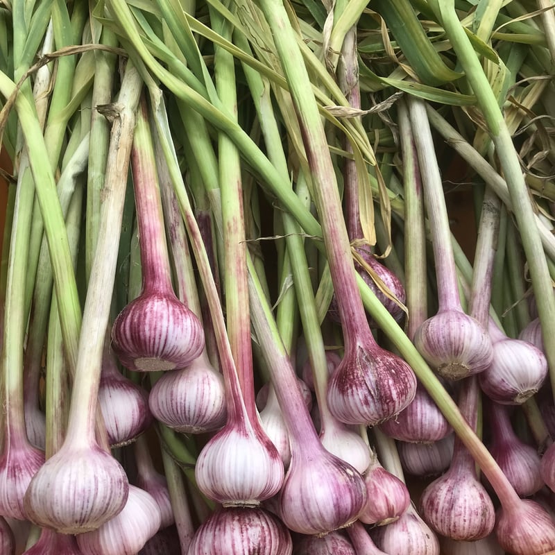 チルド便] 自然農 季節のお野菜おまかせセット Mサイズ（80サイズ） 7