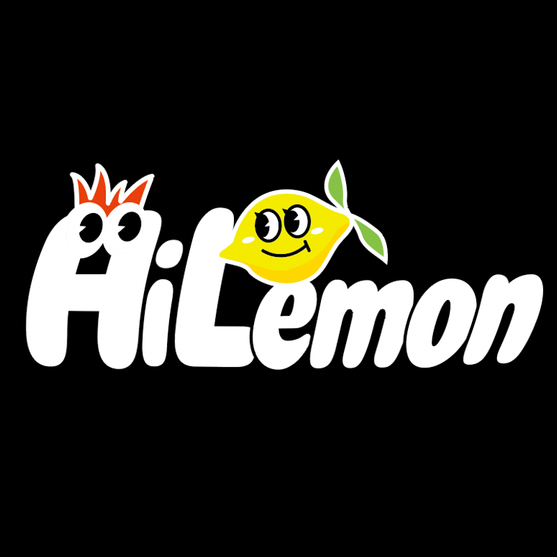 HiLemon ビッグシルエット刺繍パーカー(ブラック) | HiLemon's HiLemon ビッグシルエット刺繍パーカー(ブラック) | HiLemon's