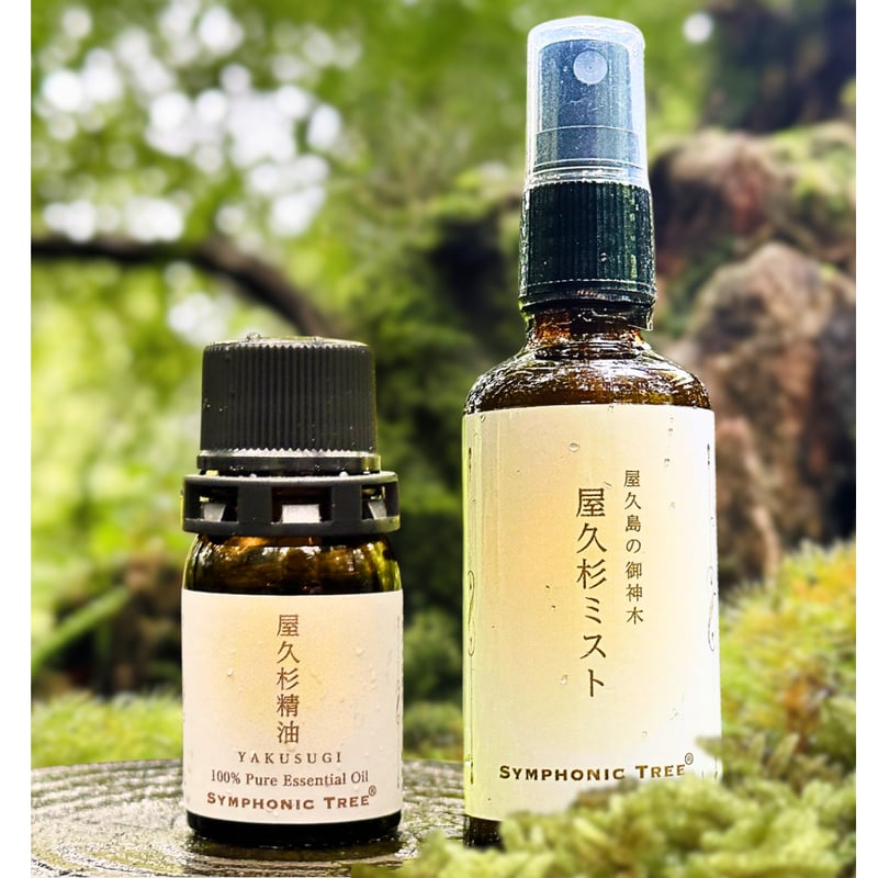 屋久島の御神木 屋久杉ミスト 大サイズ | SYMPHONIC TREE®