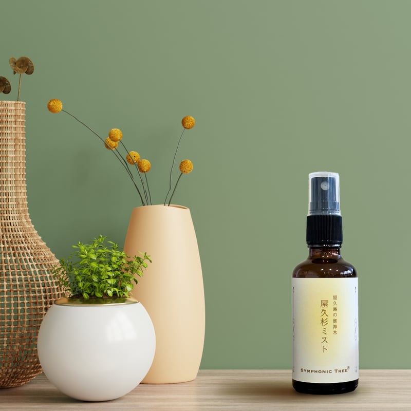 屋久島の御神木 屋久杉ミスト 大サイズ | SYMPHONIC TREE®