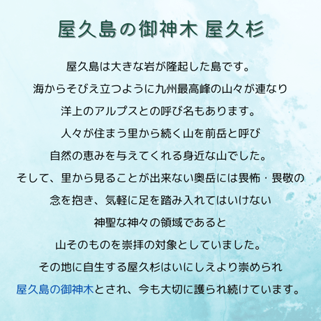 屋久島の御神木　屋久杉ミスト　大サイズ