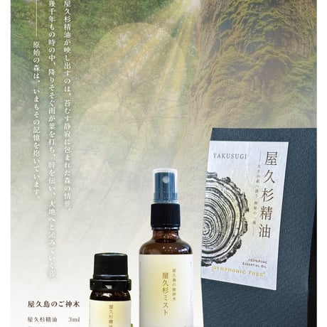 屋久杉精油