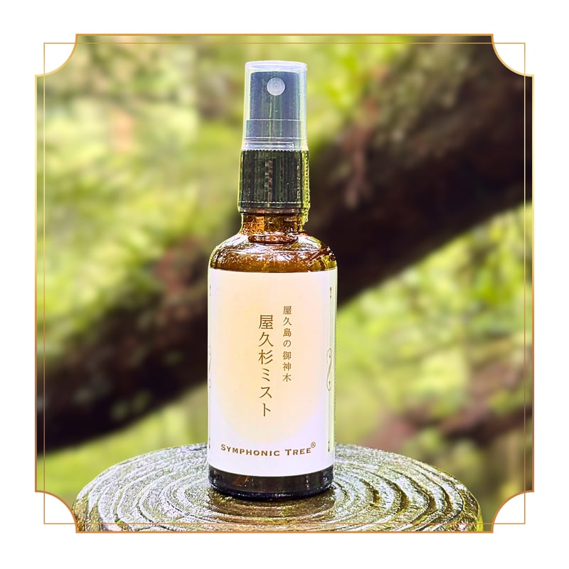 屋久島の御神木 屋久杉ミスト 大サイズ | SYMPHONIC TREE®