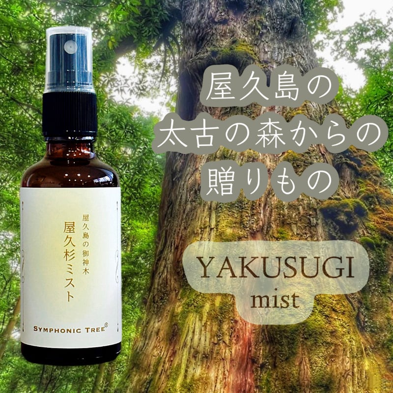 屋久島の御神木 屋久杉ミスト 大サイズ | SYMPHONIC TREE®