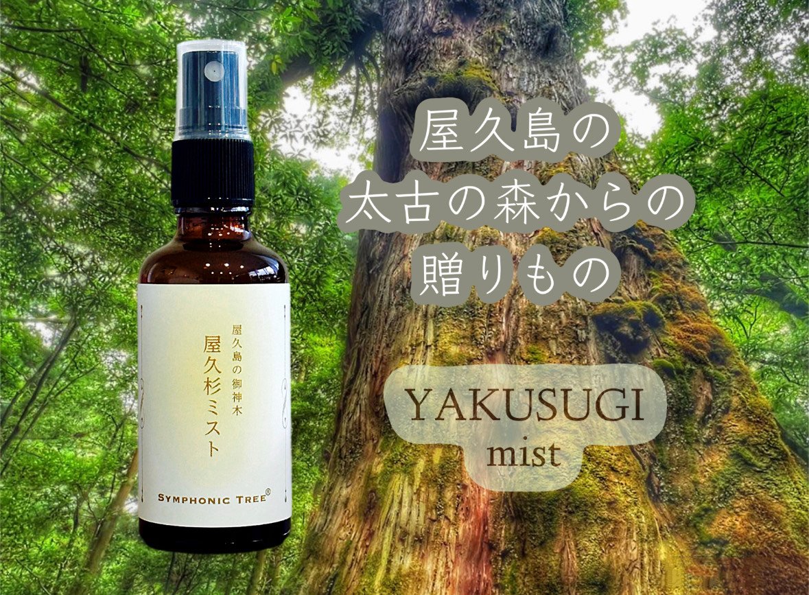 〝絶版品 屋久杉〞アンティーク part１ 極上 屋久杉 飾り棚 希少屋久杉 アンティーク - メルカリ