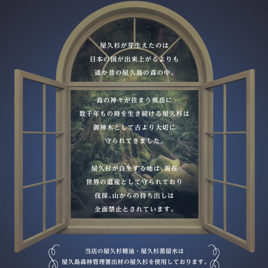 64b2ad941308d5006fb96e29