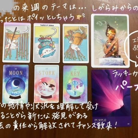 タロットメッセージ（月額プラン）