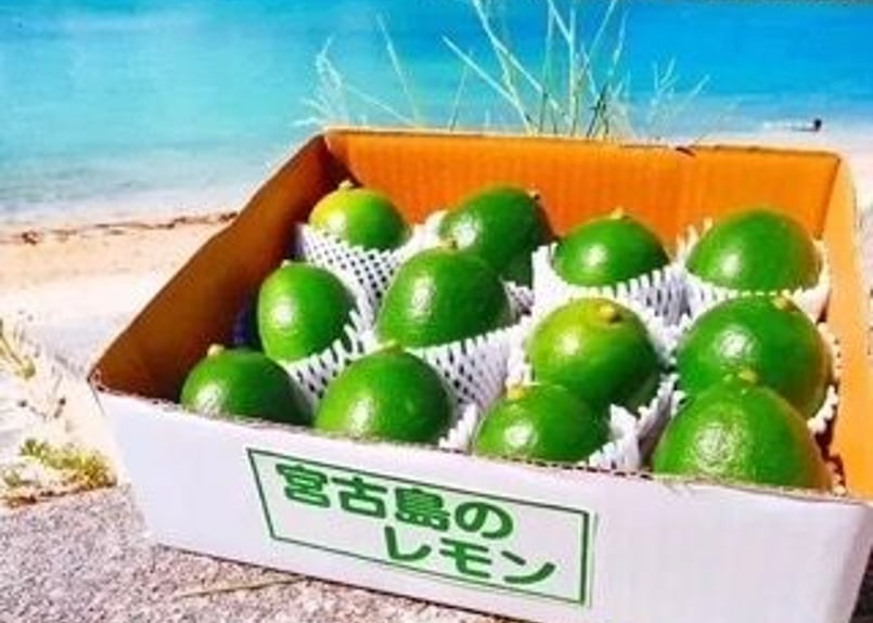 宮古島産 ラフマイヤーレモン ２kg (優品) | 宮原果樹園
