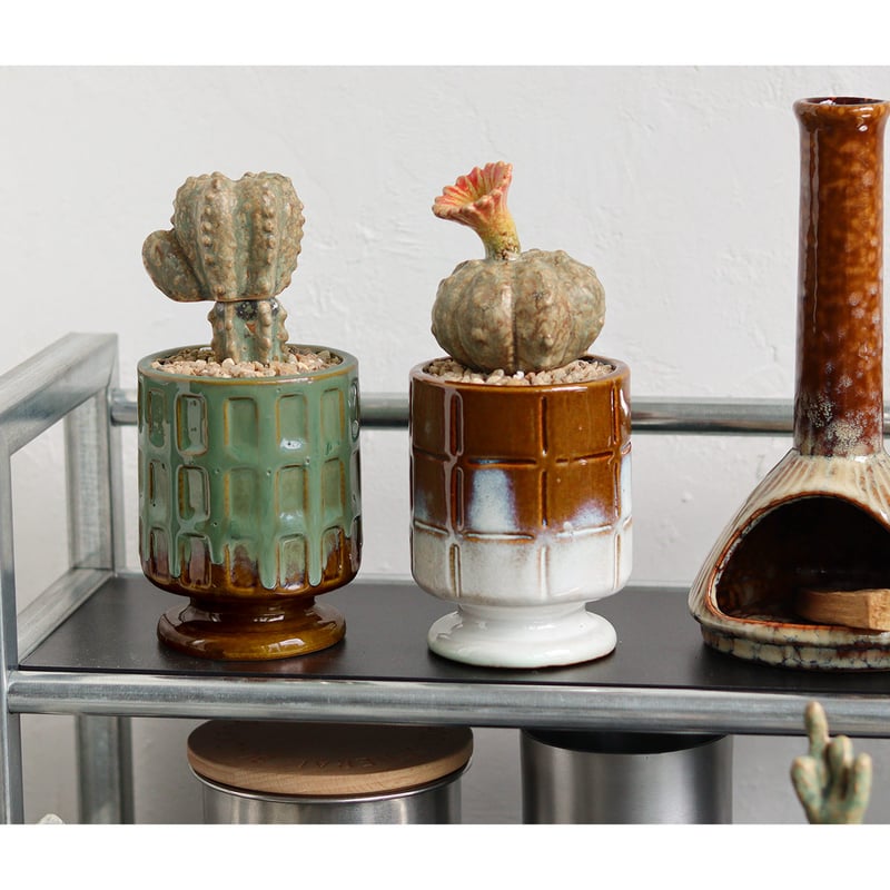 THE CACTI POT | CROSS LIFE -ONLINE STORE-