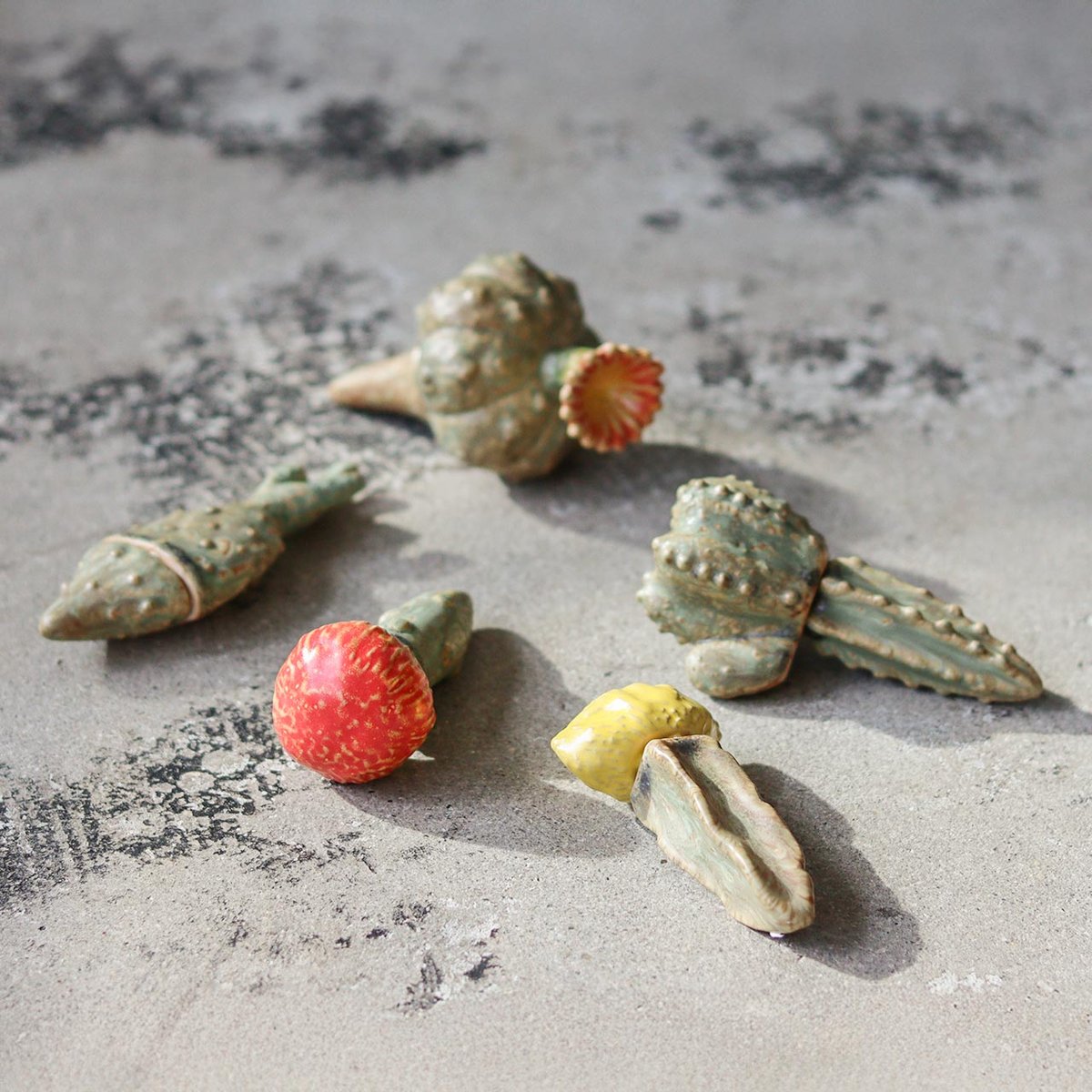 THE CACTI POT | CROSS LIFE -ONLINE STORE-