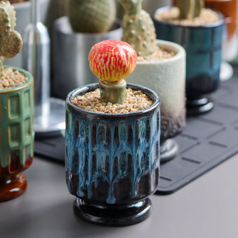 THE CACTI POT | CROSS LIFE -ONLINE STORE-
