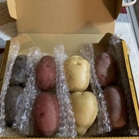 食べ比べ(じゃがいも)