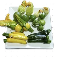 ズッキーニ(1kg)
