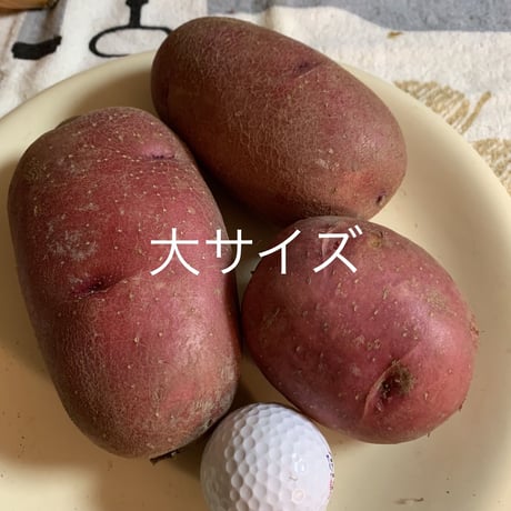ジャガイモ(レッドムーン)　1kg