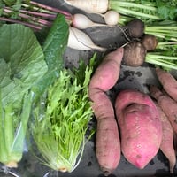日曜定期便　おまかせセット　中