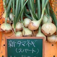 玉ねぎ(スパート)1袋　500g