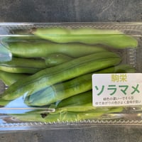 そら豆　(駒栄) 100g