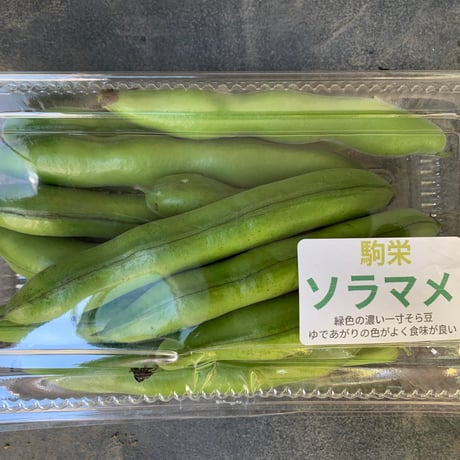 そら豆　(駒栄) 100g