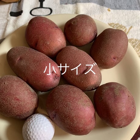 ジャガイモ(レッドムーン)　1kg
