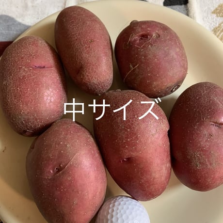 ジャガイモ(レッドムーン)　1kg