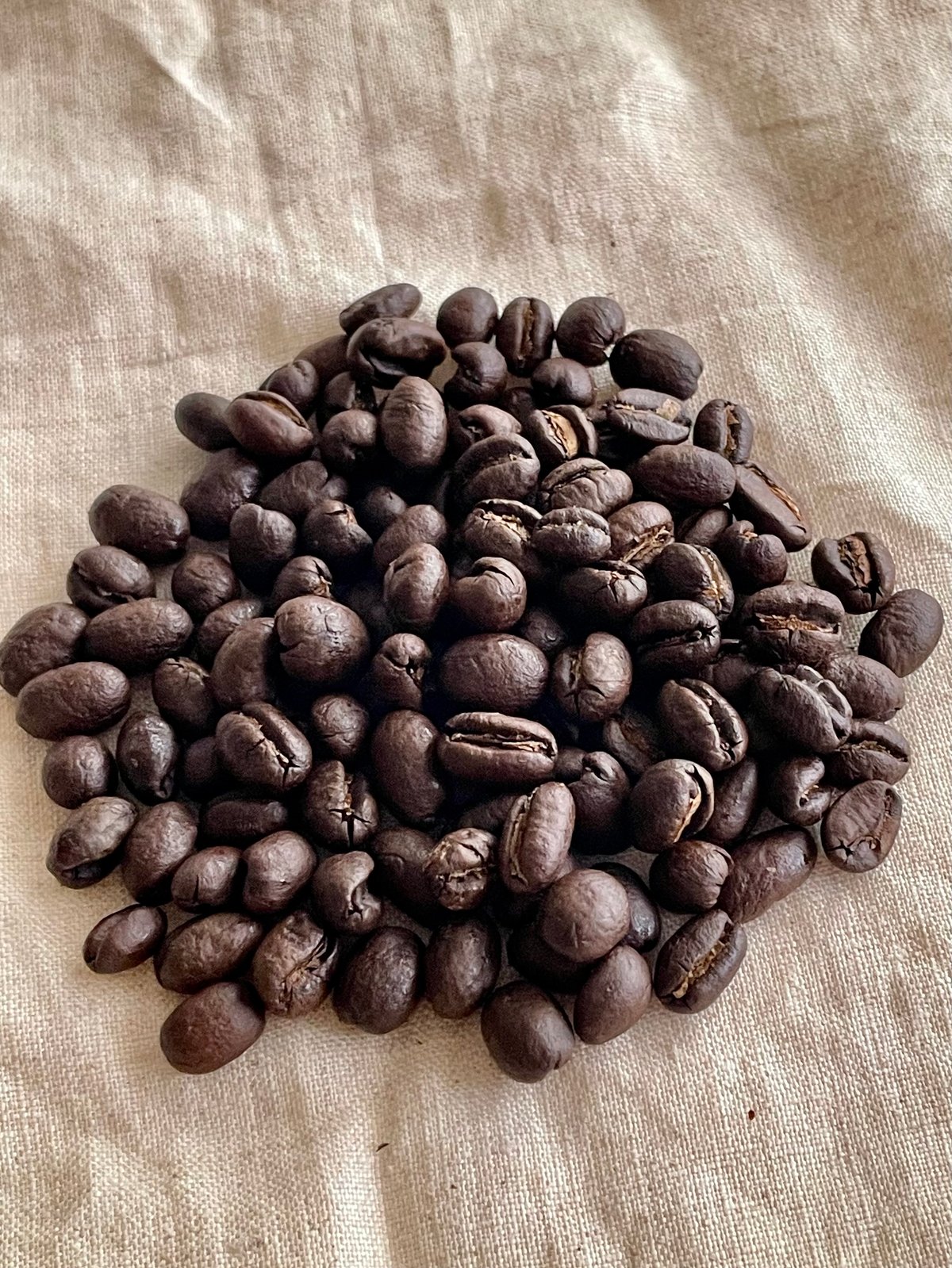 激安アウトレット!】 【Coffee】ことりのはじめておへや Z/X COFFEE