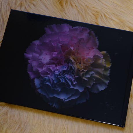 flower photo写真集 （プレミアム）