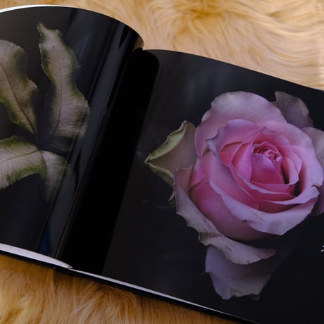 flower photo写真集 （プレミアム）
