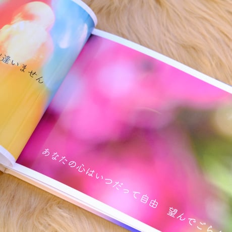healing photo写真集（プレミアム）