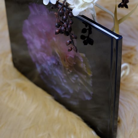 flower photo写真集 （プレミアム）