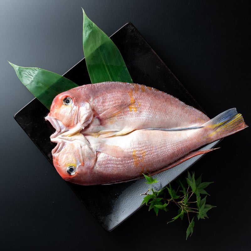 特上甘鯛（1枚） | ごはんや 飯すけ