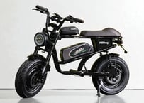 PILLBUG SOLID BLACK