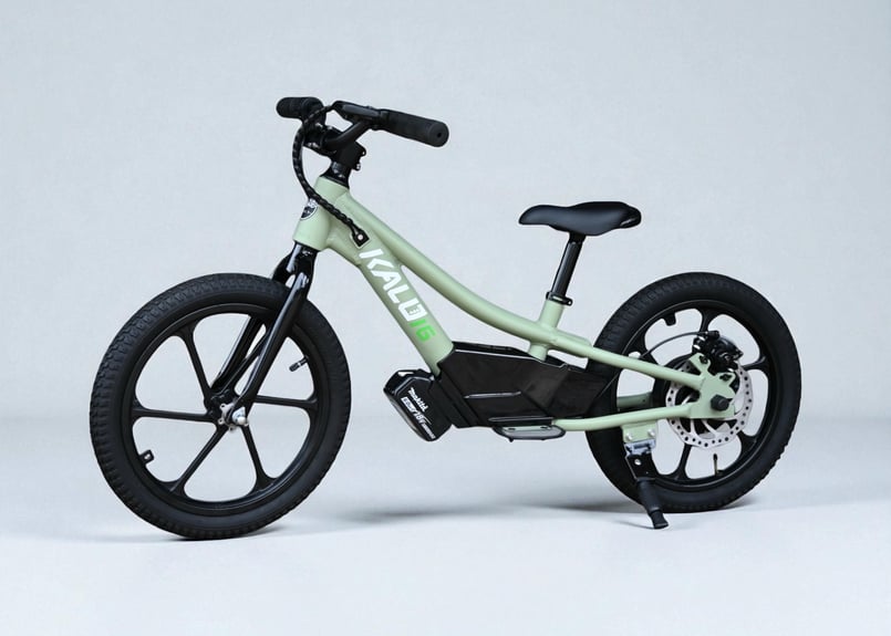 Santo Goodallさん専用 光触媒用スプレーガン LPH-50-S9シリーズ | アネスト岩田 製品情報サイト