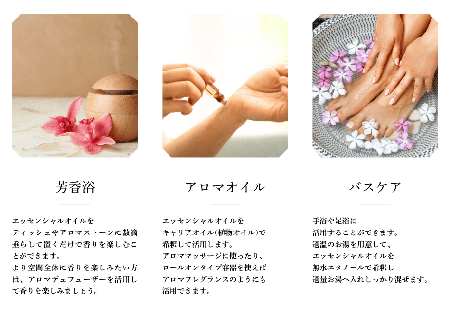 6964abccf3e1684a3b1e25b9