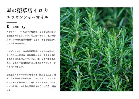 【シングルエッセンシャルオイル】 Rosemary Oil 5ml
